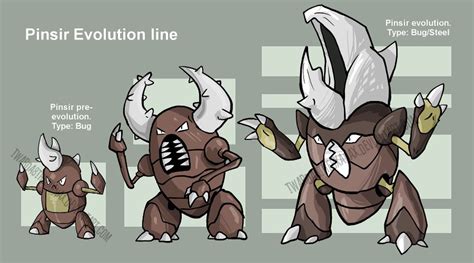 does pinsir evolve.